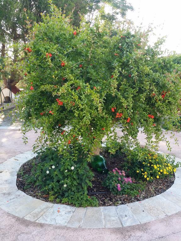 לינה וארוחת בוקר צ'לייה מספיקה Il Melograno מראה חיצוני תמונה